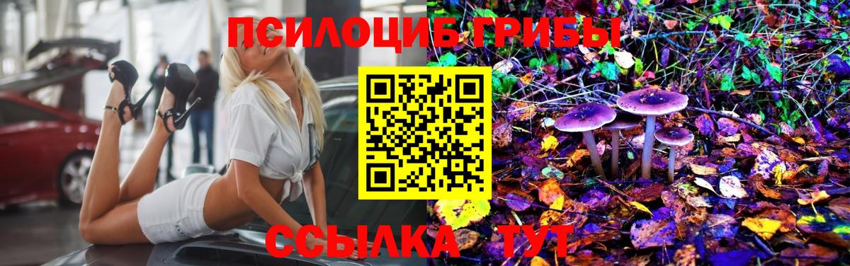 Галлюциногенные грибы MAGIC MUSHROOMS Камышин
