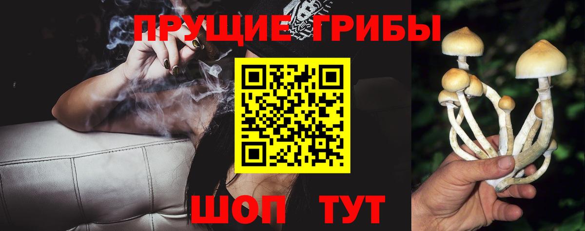 Камышин  Псилоцибиновые грибы GOLDEN TEACHER  Вход с VPN  Галлюциногенные грибы MAGIC MUSHROOMS 